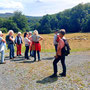 30.07.2025 Rundweg Riedelbach - P1: Einen Augenblick genießen wir noch den Anblick der Herde.
