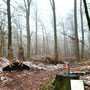 15.01.2025 Rundweg Zugmantel bei Orlen - P2: Vorbei an weitere Römer-Figuren geht es zurück zum Parkplatz.