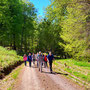 22.04.2026 Rundweg Siedlung Wildpark (über Hohe Kanzel) - P2: Es geht weiter den Bembelweg hinauf.