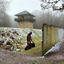 15.01.2025 Rundweg Zugmantel bei Orlen - P1: Ankunft am Kastell Zugmantel.