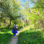 29.04.2026 Parkbucht hinter Neuweilnau-Rod an der Weil - P2: Entlang des Schnepfenbachweihers.
