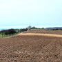 08.01.2025 Rundweg Bad Camberg (über Alsdorfer Weiher) - P1: Blick zur Kreuzkapelle.
