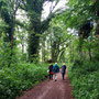 28.05.2025 Breckenheim - Rundweg - P1: Der Nackwald, wie im Urwald.
