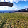 26.02.2025 Rundweg Heftricher Moor - P1: Blick über die Schloßborner Alm.