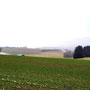 22.01.2025 Waffelfabrik Orlen-Steckenroth - P1: Blick über die Felder zum vernebelten Orlen.