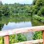 25.06.2025 Bad Schwalbach - Rundweg Kurpark - P1: Blick von der Brücke über den Waldsee zur Langen Bank.