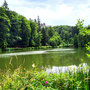25.06.2025 Bad Schwalbach - Rundweg Kurpark - P1: Blick über den Waldsee.