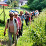 06.08.2025 Kiedrich (Stassen) Rundwanderweg - P1: Vom Ortsrand geht es im Gänsemarsch auf einem schmalen Steig mäßig aufwärts,
