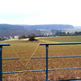 05.02.2025 Panrod-Wallrabenstein - P1: Blick auf Wallbach von Aussichtspunkt mit einem Herz für Wallbach.