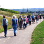 06.08.2025 Kiedrich (Stassen) Rundwanderweg - P1: Auf dem Weg hinunter nach Kiedrich.