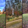 29.01.2025 Rundweg Parkplatz Eisersbach B417 - P1: Impressionen an der Strecke hinauf zum Parkplatz Eisersbach.