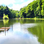 21.05.2025 Rundweg Theißtal - P2: Der idyllische Waldsee im Theißtal.