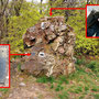 22.04.2026 Rundweg Siedlung Wildpark (über Hohe Kanzel) - P1: Der Gipfelstein der Hohen Kanzel. Der Metallbolzen mit der Aufschrift TP (Point of Triangulation) markiert einen Vermessungspunkt für genaue geografische Koordination.