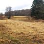 26.02.2025 Rundweg Heftricher Moor - P1/P2: Blick ins Heftricher Moor.