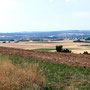20.08.2025 Runde Mensfelder Kopf - Rotes Meer - P1: Bereits etwas weiter oben hat man eine tolle Aussicht über das Limburger Becken.