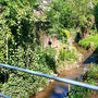 14.05.2025 Burgschwalbach-Hahnstätten - P1: Der Palmbach fließt durch Burgschwalbach.