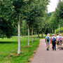 25.06.2025 Bad Schwalbach - Rundweg Kurpark - P1: Durch den Kurpark in Richtung Waldsee.