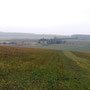 05.02.2025 Panrod-Wallrabenstein - P1: Blick zur Hühnerkirche an der B417.