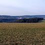 19.02.25 Rundweg Idstein Cunoweg (über Niederseelbach) - P1: Blick über das Gebück auf Idstein.