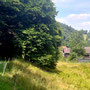 18.06.2025 Rundweg Oberauroff-Ehrenbach-Niederauroff-Oberauroff - P1: Niederauroff in Sicht.