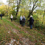 22.10.2025 Rundwanderweg Ober-Niederrod - P3: Leicht ansteigen auf dem Buchfinkenland-Rundwanderweg in Richtung Niederrod.