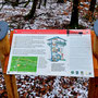 15.01.2025 Rundweg Zugmantel bei Orlen - P1: Info-Tafel über die Römer.