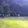 30.07.2025 Rundweg Riedelbach - P1: Am Waldrand entlang durch die Dombachwiesen Riedelbach, parallel zum Bach Wolfsgraben.