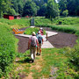 25.06.2025 Bad Schwalbach - Rundweg Kurpark - P1: Im begehbaren Moor.