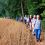23.07.2025 Escher Kopf-Walsdorf - P1/P2: Im Gänsemarsch auf einem schmalen Trampelpfad zwischen Wald und Getreidefeld entlang.