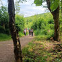 21.05.2025 Rundweg Theißtal - P2: Kurz vor der Abzweigung zurück zum Parkplatz.