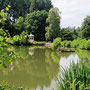 25.06.2025 Bad Schwalbach - Rundweg Kurpark - P2: Blick über den Waldsee auf den kleinen Tempel.