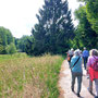 21.05.2025 Rundweg Theißtal - P1: ... gelangen wir zu dem Weg, der uns zurück zum Parkplatz führt.
