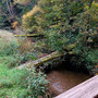 15.10.2025 Radweg an der L3031 (hinter Beuerbach)-Dauborn (über Gnadenthal): Querliegende Baumstämme über dem Wörsbach.