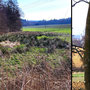 19.02.25 Rundweg Idstein Cunoweg (über Niederseelbach) - P1: Schönes Landschaftsbild im Wörsbachtal und Blick auf den Kirchturm der kath. Kirche und den Hexenturm in Idstein.