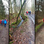 26.02.2025 Rundweg Heftricher Moor - P1: Unterwegs im Bereich der Hasenmühle.