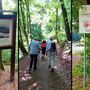 21.05.2025 Rundweg Theißtal - P1: Auf dem Weg zum Waldsee, vorbei an einer Hinweistafel über eine einst hier stehende Pappendeckelfabrik. Am Waldsee ist eigentlich alles verboten, wie das Schild rechts zeigt.
