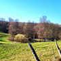 18.03.2026 Parkplatz Kuhbett-Eichelbacher Hof-Vogelburg-Hasselbach - P2: Der Teich am Eichelbacher Hof.
