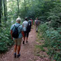 25.06.2025 Bad Schwalbach - Rundweg Kurpark - P1: Auf schmalem Pfad des Höhenwegs unterwegs zum Waldsee-Blick.