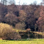 18.03.2026 K514 hinter Dombach-Eichelbacher Hof-Vogelburg-Hasselbach - P1: Der teich am Eichelbacher Hof.