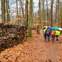 11.03.2026 Rundweg Esch-Bermbach - P1: Durch den Wald oberhalb von Bermbach.