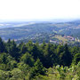 11.06.2025 Rundweg Großer und Kleiner Feldberg - P1: Toller Blick auf Oberreifenberg mit seiner Burg.