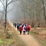 22.01.2025 Waffelfabrik Orlen-Steckenroth - P1: Auf der Eisenstraße bzw. dem Limeswanderweg (Taunus) durch den von Nebel durchzogenen Wald.
