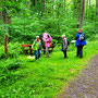 28.05.2025 Breckenheim - Rundweg - P2: An einem Rastplatz neben der Warzeneiche am Rohrgraben.