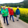 07.05.2025 Rundweg Esch - P1: Auf dem Bermbacher Weg in Richtung Bermbach, vorbei an einem blühenden Rapsfeld.