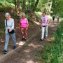 18.06.2025 Rundweg Oberauroff-Ehrenbach-Niederauroff-Oberauroff - P1: Am Waldrand entlang in Richtung Ehrenbach.