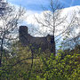 15.04.2026 Wallrabenstein - Graf Walram Rundweg - P1: Blick zur Burgruine Wallrabenstein.