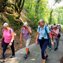 06.08.2025 Kiedrich (Stassen) Rundwanderweg - P1: Auf einem etwas steileren Aufstieg hinauf zur Förster-Schneider-Eiche.