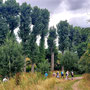 23.07.2025 Escher Kopf-Walsdorf - P1: Vorbei an sehenswerten Bäumen um den historischen Ortskern von Walsdorf herum.
