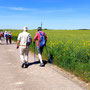 14.05.2025 Burgschwalbach-Hahnstätten - P1: Auf dem Weg um Burgschwalbach herum.