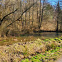 04.03.2026 Nauroder Kreuz-Rambach - P2: Ein kleiner Teich am Wegesrand.